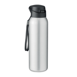 Double wall bottle 580 ml       Couleur:Argent