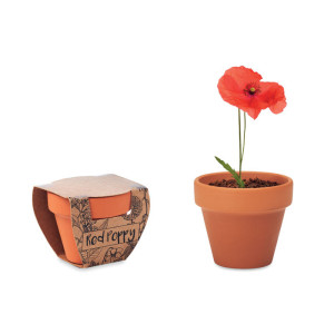 Pot graines de coquelicot       Couleur:Bois