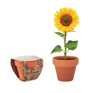 Pot graines de tournesol        Couleur:Bois