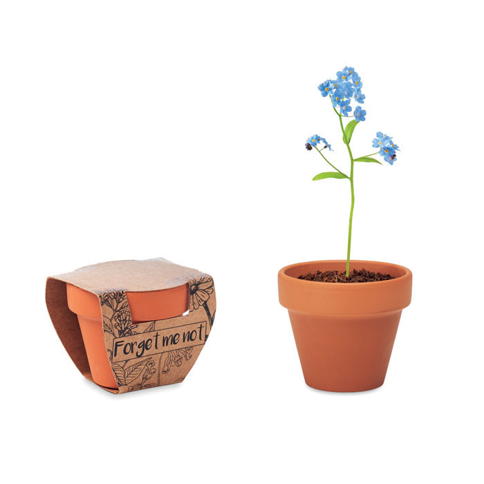 Pot graines de myosotis         Couleur:Bois